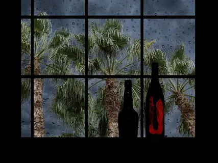 棕榈树，棕榈树，沙漠，自然，树叶，自然，植物，公园