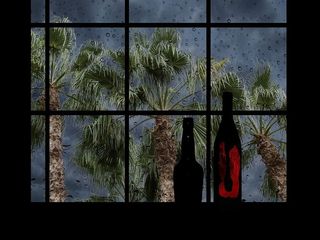 棕榈树，棕榈树，沙漠，自然，树叶，自然，植物，公园