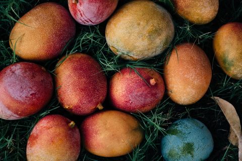 芒果，芒果，夏天，水果，自然，颜色，食品和饮料，食品