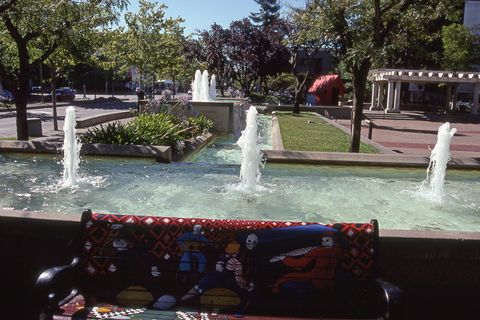 圣罗莎，美国，加利福尼亚，水，树，植物，自然，喷泉