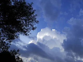 云，暴风雨，明亮，树木，自然，天空，云天，低角度视图