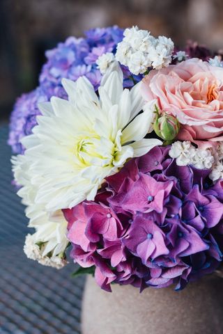 选择性，聚焦照片，带瓣花，花，绣球花，花束，夏天，蓝色绣球花