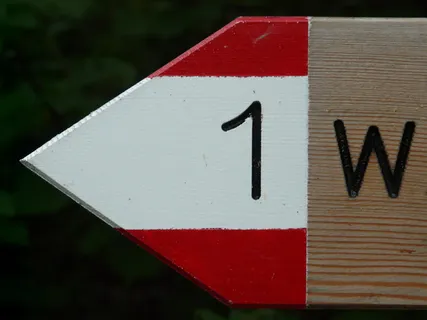 迁移特征，路标，标记，徒步旅行，路标，目录，通信，标志