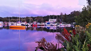 港口，帆船，帆船，港口，帆，船，桅杆，帆船