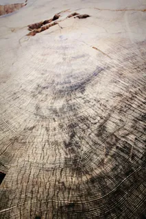 棕色表面，棕色，表面，黑色，灰色，粉色，树木，木材