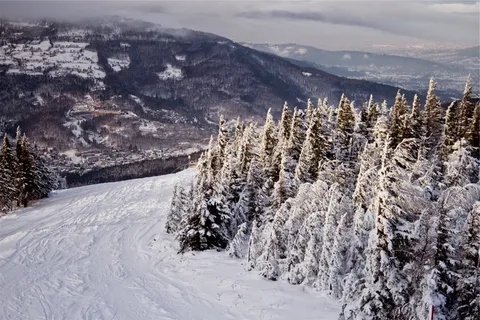 雪，山，白天，风景，摄影，附近，树，山