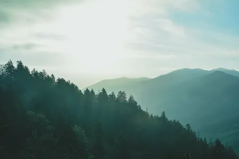 剪影,树木,山坡,白天,绿色,山脉,蓝色,天空 剪影,树木,山坡,白天,绿色,山脉,蓝色,天空