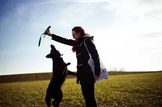 女孩，狗，奔跑，自然，快乐，太阳，田野，土地