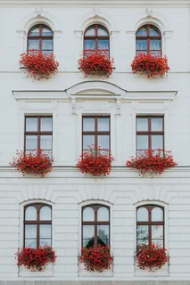 波兰比德戈斯茨城市建筑