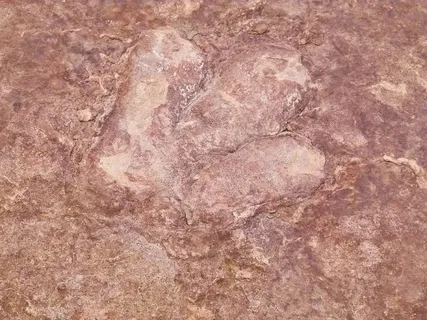 恐龙,轨道,红色,岩石,历史,巨大,动物,全框架 恐龙,轨道,红色,岩石,历史,巨大,动物,全框架