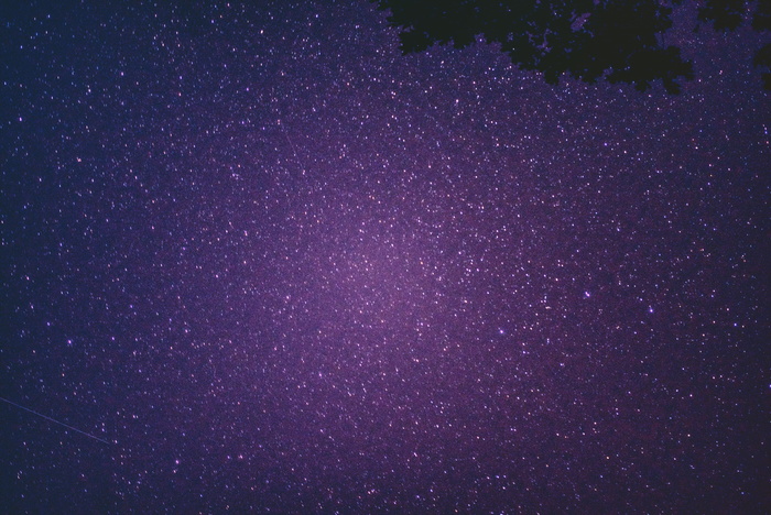 星空下的树影