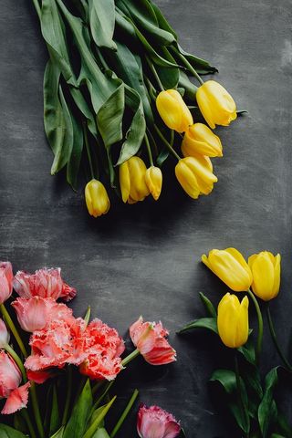 灰色背景上的彩色花朵，带有复制空间