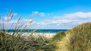 丹麦，度假，自然，海岸，夏天，沙丘，海滩，风景