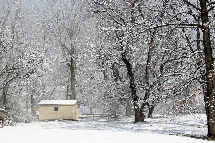 冬季、雪、寒冷、季节、霜冻、景观、降雪、寒冷温度