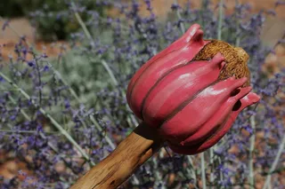 粉色、棕色、木质、花朵、选择性、聚焦摄影、萨满摇铃、萨满
