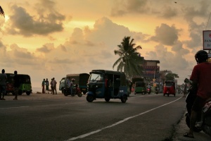 斯里兰卡、hikkaduwa、日落、驾驶、街道、道路、棕榈树、tuk tuk
