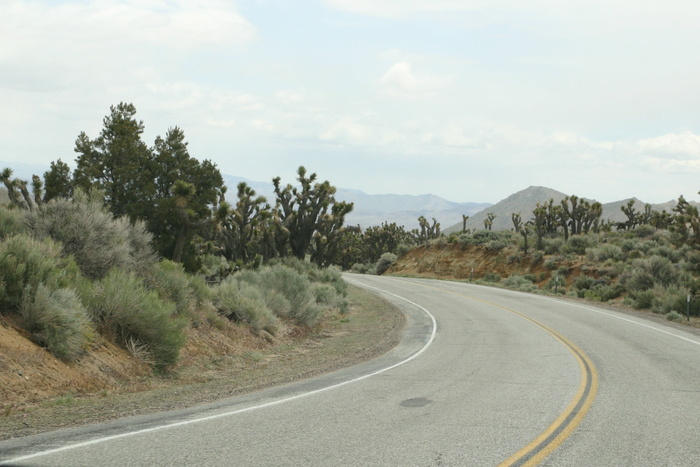 道路、自然、旅游、景观、buitenweg、环境、美国、高速公路