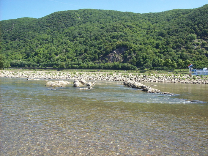 德国，山脉，森林，树木，森林，河流，小溪，岩石