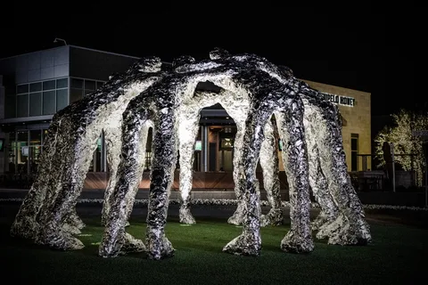 美国, 弗里斯科, 福特星中心, 夜, 架构, 建筑外观, 建筑结构, 没有人