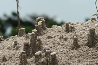 石头、土堆、砾石、沙子、石英、雨水、砾石、冥王星