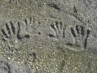 指纹，海滩，手，放松，灰色，无人，白天，陆地