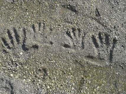 指纹,海滩,手,放松,灰色,无人,白天,陆地 指纹,海滩,手,放松,灰色,无人,白天,陆地