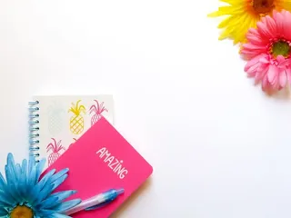 花，蓝色，钢笔，黄色，花朵，明亮，洋甘菊，植物