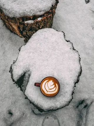 英国，汉普郡，圣诞节，户外，寒冷，冬天，咖啡师，咖啡