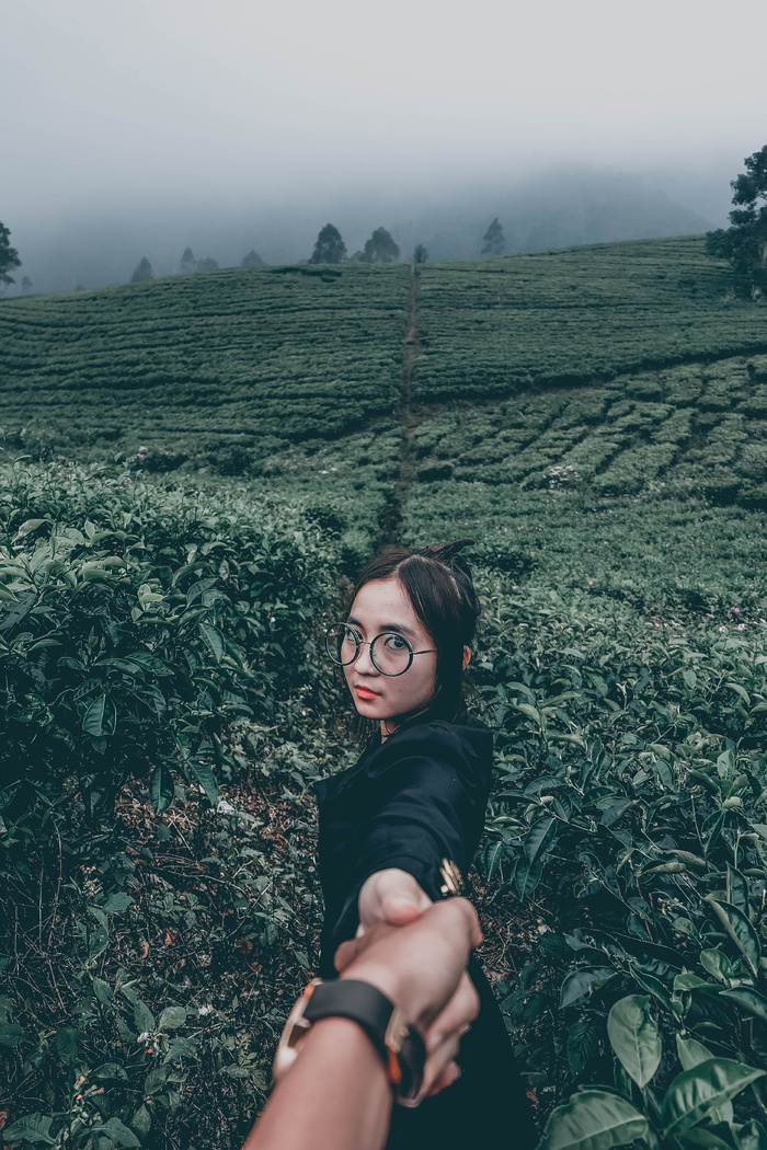 灰色天空下，男人和女人在植物间牵手