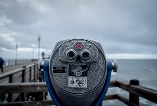 双筒望远镜，人，人，手表，动物，鸟，黑鸟，agelaius