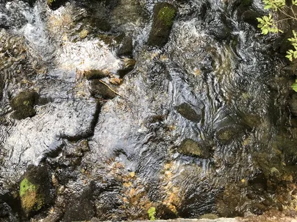 小溪,河流,水,岩石,潮湿,湿叶,秋天,波浪 小溪,河流,水,岩石,潮湿,湿叶,秋天,波浪
