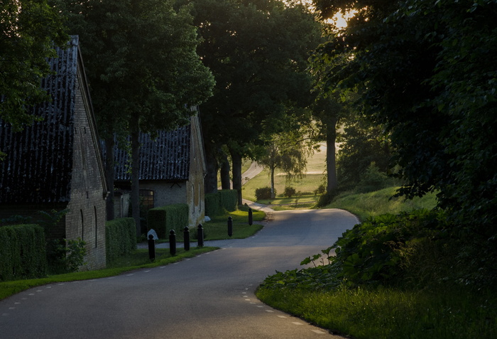 road，skåne，瑞典，夏季，乡村，植物，树木，方向