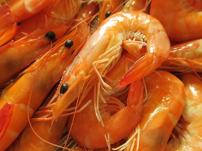 海鲜、虾、美食家、食品、食品和饮料、新鲜度、健康饮食、幸福感