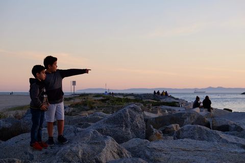 美国，海豹滩，码头，岛屿，自然，海滩，户外，日落