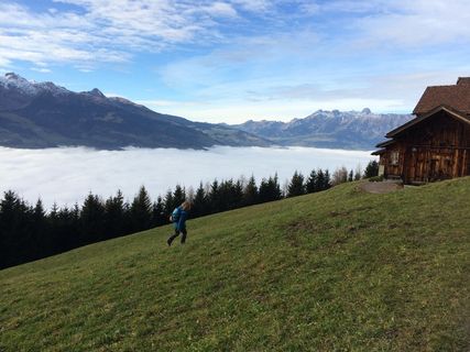 小雪，秋天，风景，山，金秋，山，草，天空