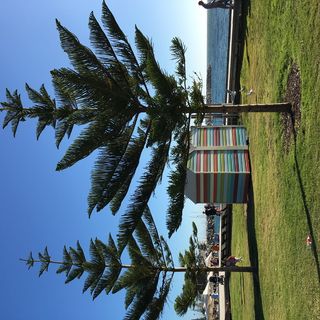 弗雷曼特尔，澳大利亚，弗雷曼特尔渔船港，海滩，珀斯，弗雷奥，植物，树木