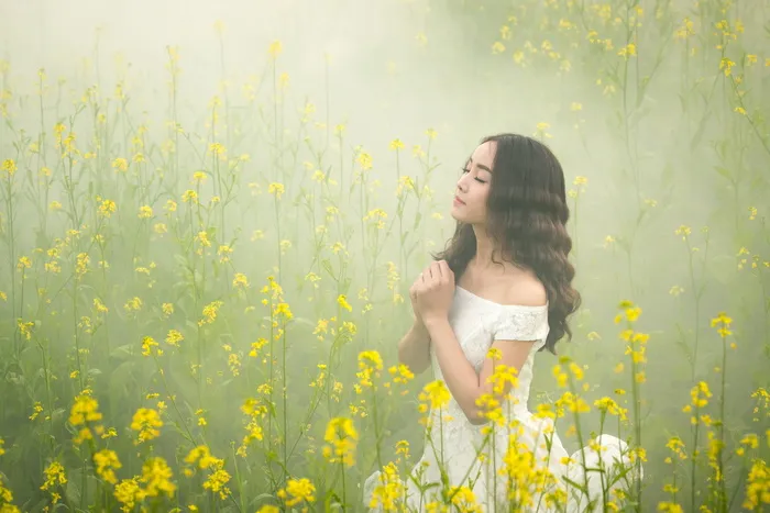 女人，穿着，白色，蕾丝露肩连衣裙，黄色，油菜花田，雾，雾