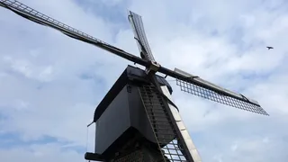 磨坊，wipmolen，灯芯，磨坊叶片，磨坊细节，荷兰，景观