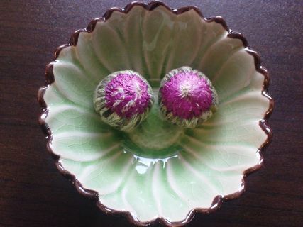 T恤，茶花，亚洲，红色，新鲜度，花，开花植物，特写