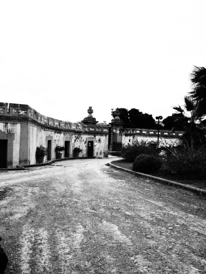 别墅，树木，庭院，好的，建筑，建筑外观，建筑结构，室外