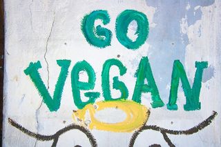 涂鸦、墙壁、油漆、素食主义者、背景、旧的、苦恼的、颜色