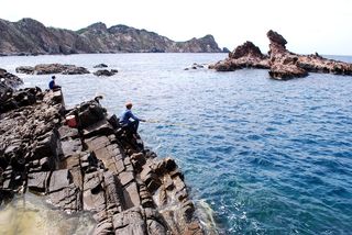 风腰, 怜悯, 风, 腰, 风腰的怜悯, 慈爱的, 乘法乘法, 旅游 nhon ly