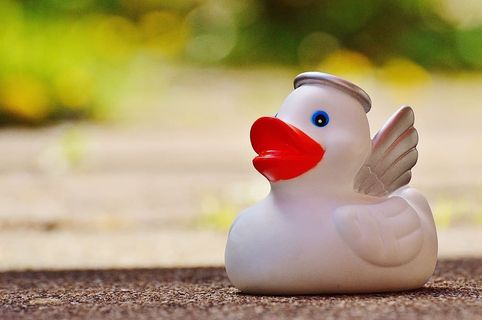 精选，照片，鸭子浮子玩具，橡胶鸭，浴鸭，天使，光环，翅膀