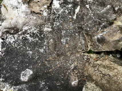 谷物,壁纸,岩石,自然,自然,秋天,秋天,冒险 谷物,壁纸,岩石,自然,自然,秋天,秋天,冒险