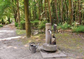 水坑、gies水壶、公园、墓地、外出、休息、静默、种植