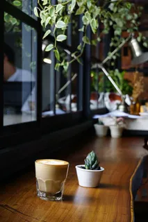 植物,自然,盆景,玻璃,木制,桌子,咖啡,拿铁 植物,自然,盆景,玻璃,木制,桌子,咖啡,拿铁