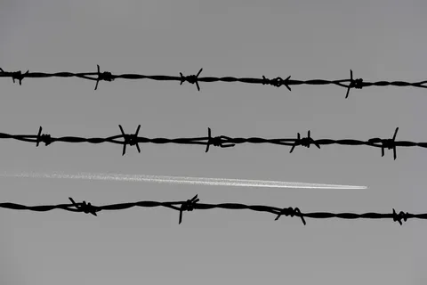 三条铁丝网,铁丝网,栅栏,*,飞机,黑白,线,飞 三条铁丝网,铁丝网,栅栏,*,飞机,黑白,线,飞