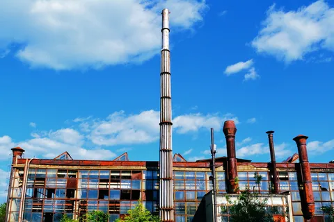 植物、陈旧、毁坏、退化、覆盖、篮子、金属、锈病 植物、陈旧、毁坏、退化、覆盖、篮子、金属、锈病