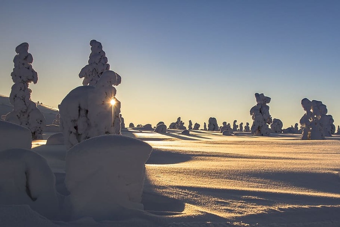 雪艺术，晴朗，天空，拉普兰，冬天，雪，风景，冬天