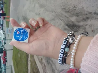 南卡罗来纳州，美国，棕榈州，投票，未来，希望，爱，改变